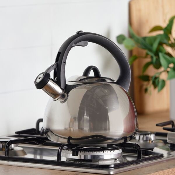baytonia_main product photo