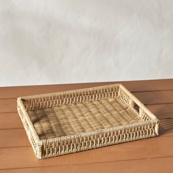 baytonia_main product photo