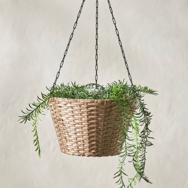 baytonia_main product photo