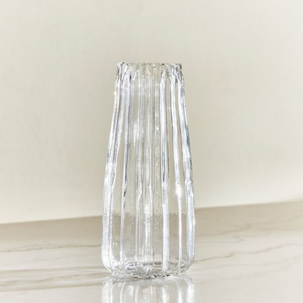 baytonia_main product photo