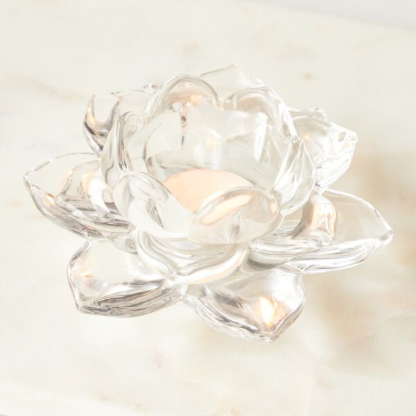 baytonia_main product photo