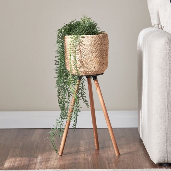 baytonia_main product photo