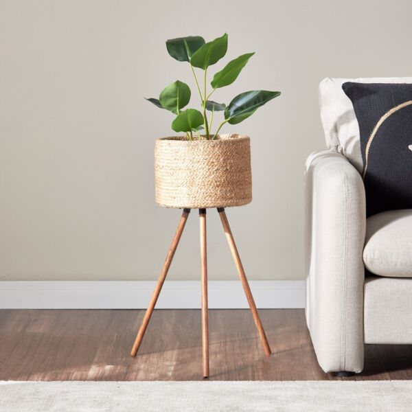 baytonia_main product photo