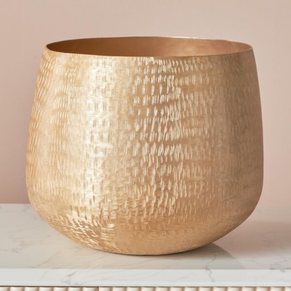 baytonia_main product photo