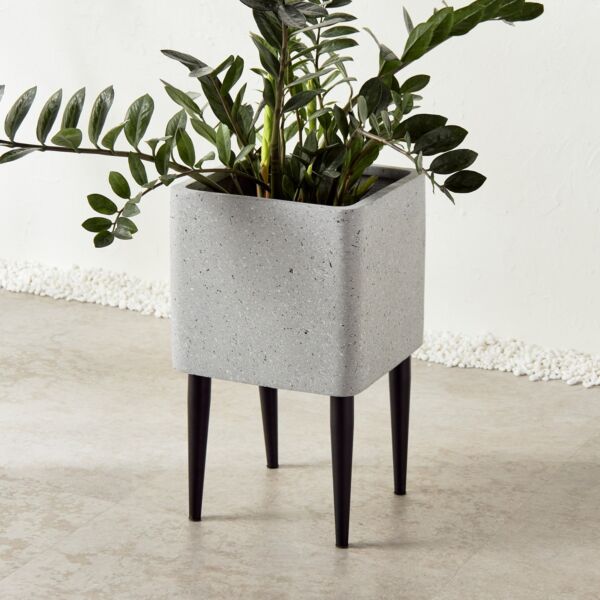 baytonia_main product photo