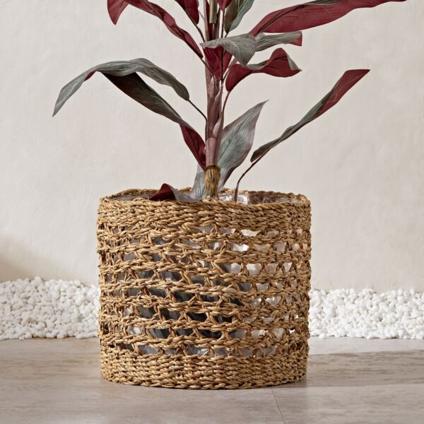 baytonia_main product photo