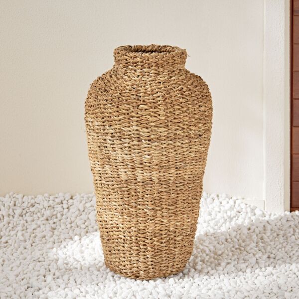 baytonia_main product photo