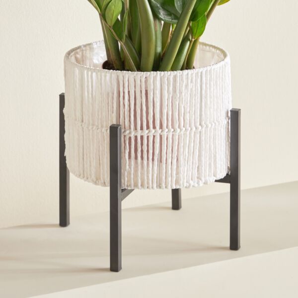 baytonia_main product photo