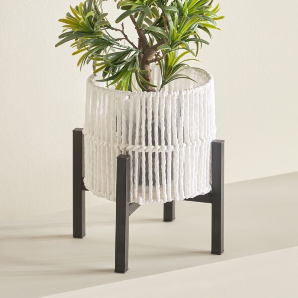 baytonia_main product photo
