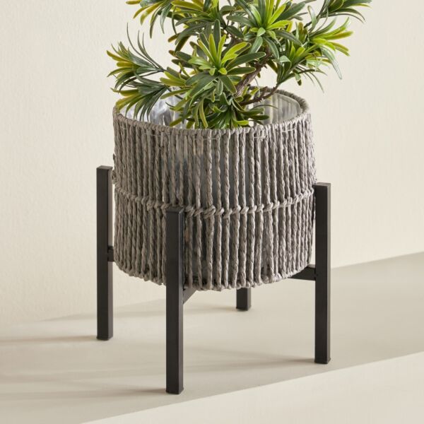baytonia_main product photo