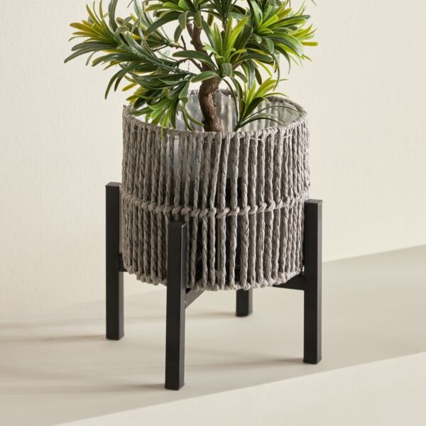 baytonia_main product photo