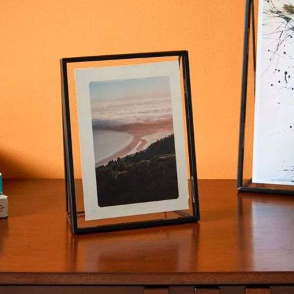 baytonia_main product photo