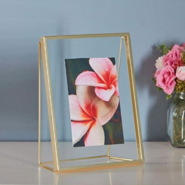 baytonia_main product photo