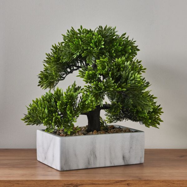 baytonia_main product photo