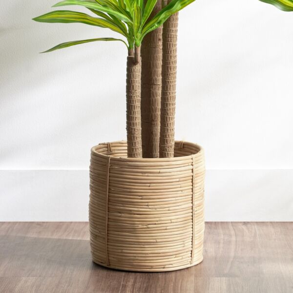 baytonia_main product photo