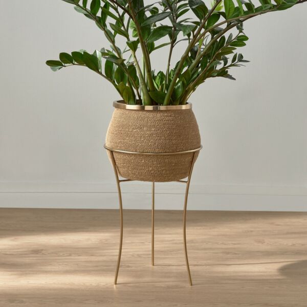 baytonia_main product photo