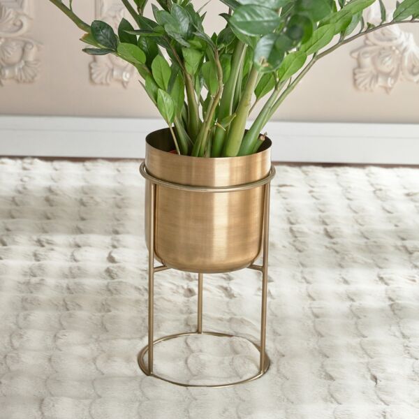 baytonia_main product photo