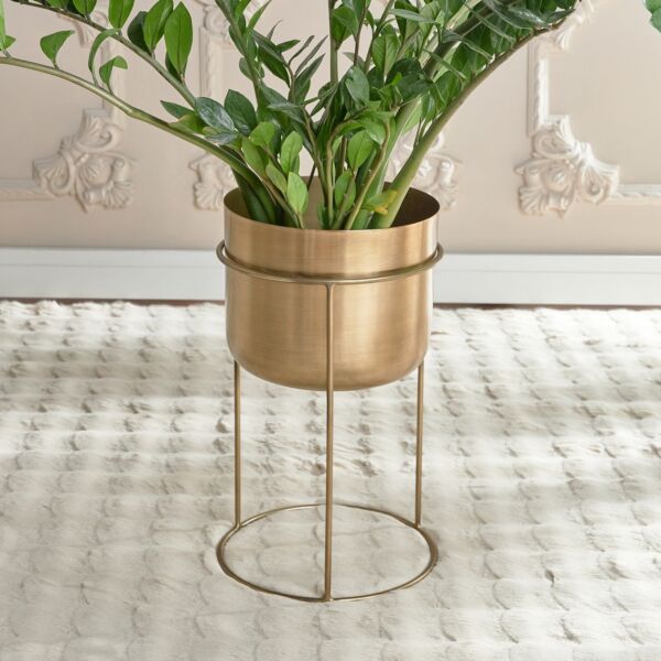 baytonia_main product photo