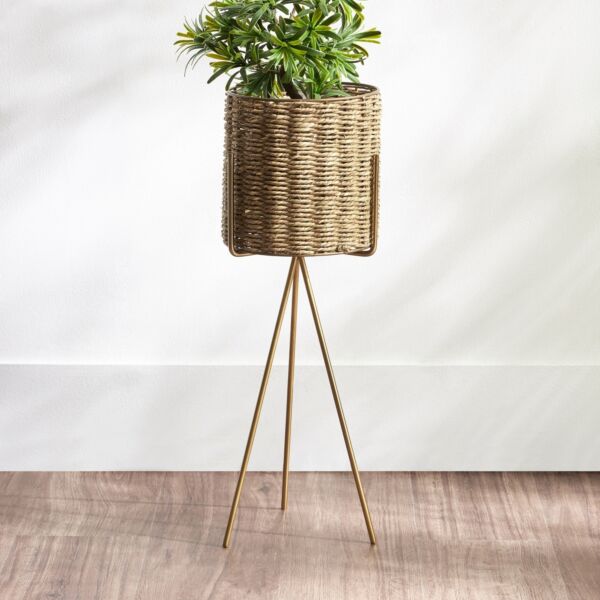 baytonia_main product photo