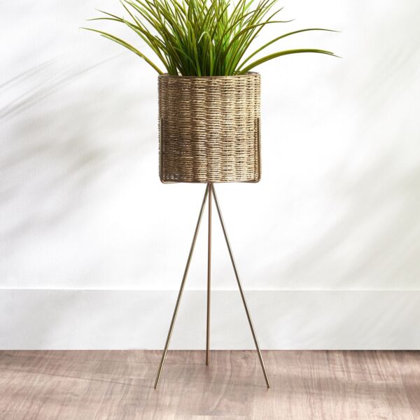 baytonia_main product photo