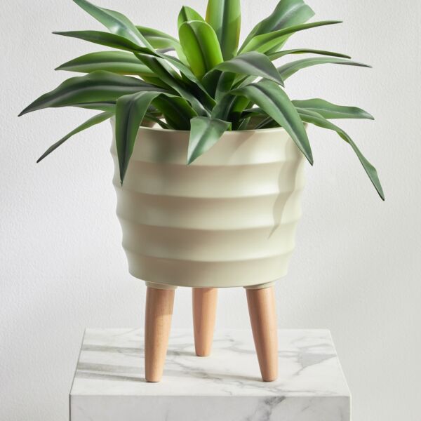 baytonia_main product photo