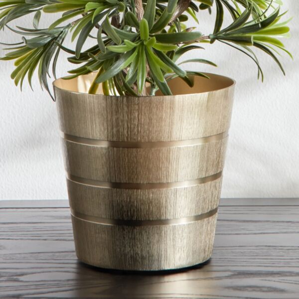 baytonia_main product photo