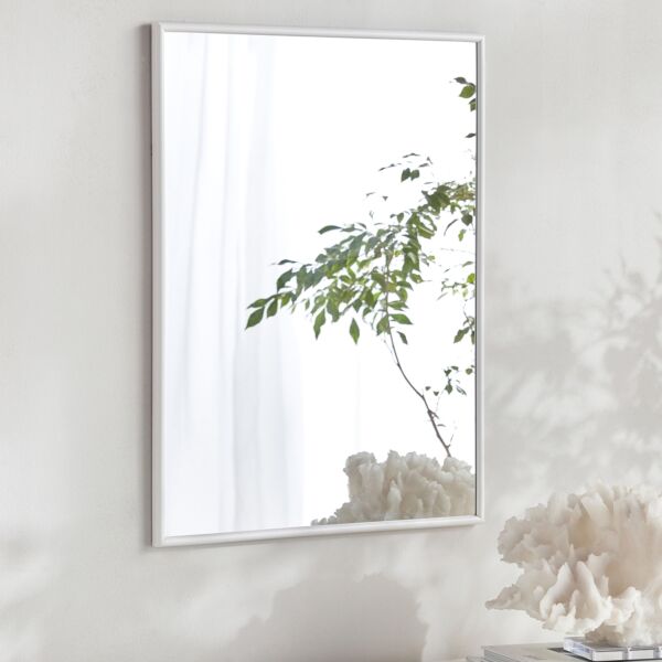 baytonia_main product photo
