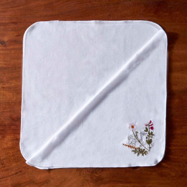 baytonia_main product photo