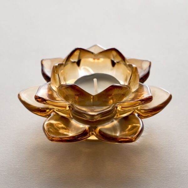 baytonia_main product photo