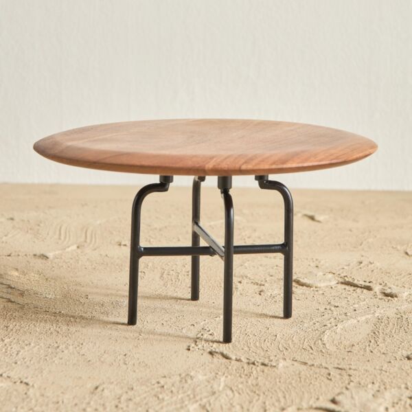 baytonia_main product photo