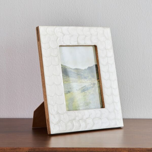 baytonia_main product photo