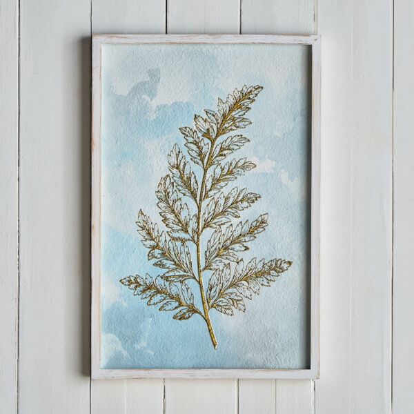 baytonia_main product photo