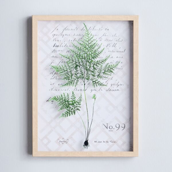 baytonia_main product photo