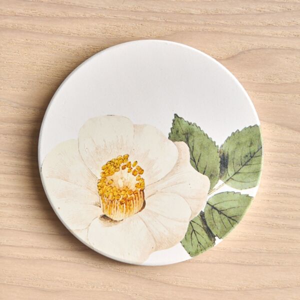 baytonia_main product photo