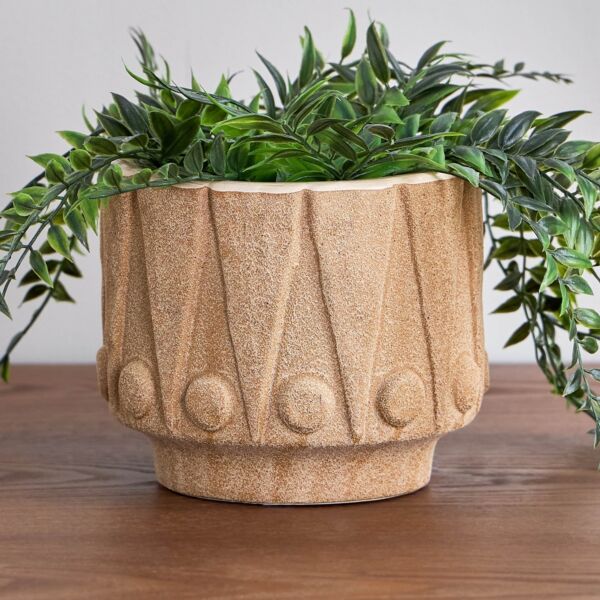 baytonia_main product photo