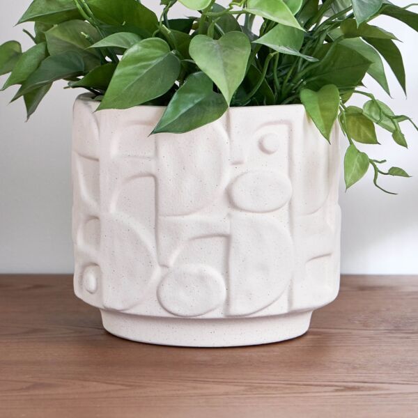 baytonia_main product photo
