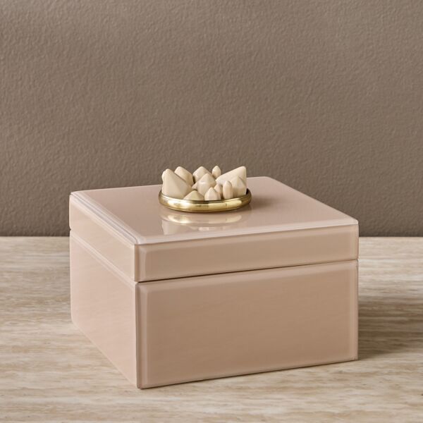 baytonia_main product photo