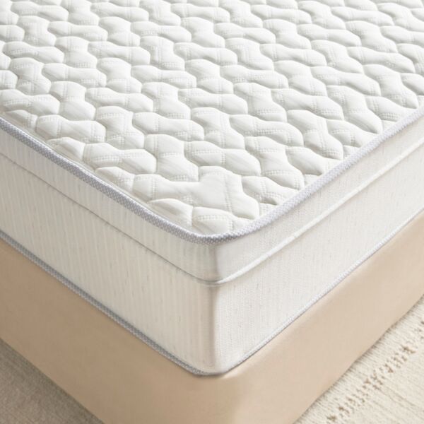 baytonia_main product photo