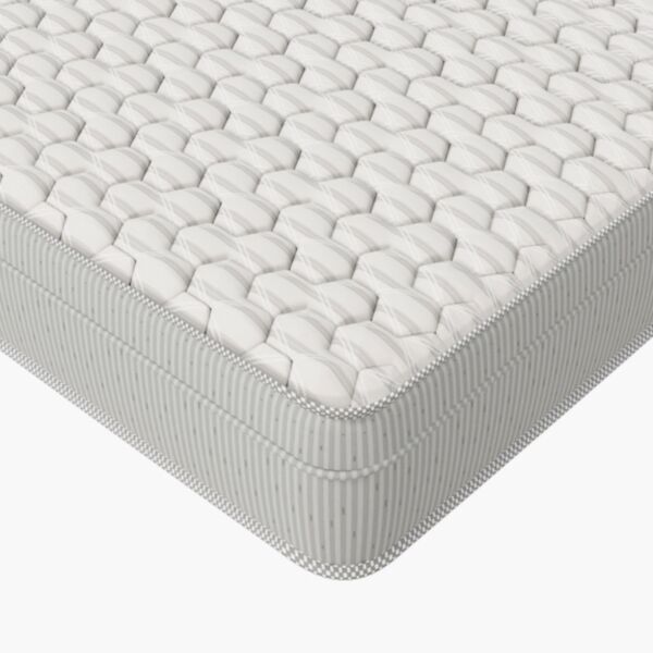 baytonia_main product photo