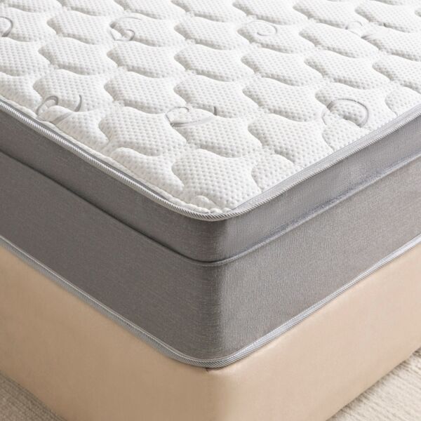 baytonia_main product photo