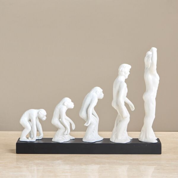 baytonia_main product photo