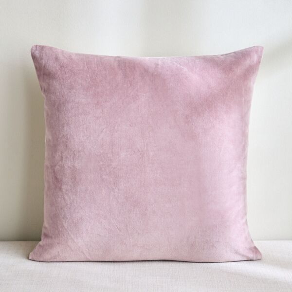 baytonia_main product photo