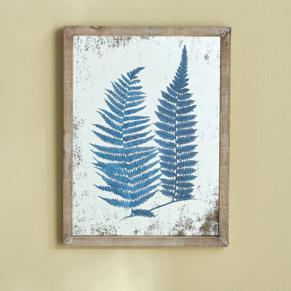 baytonia_main product photo