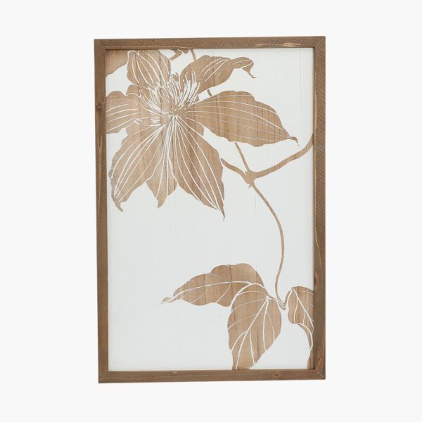 baytonia_main product photo