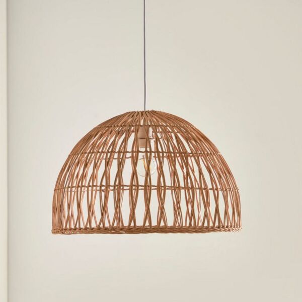 baytonia_main product photo