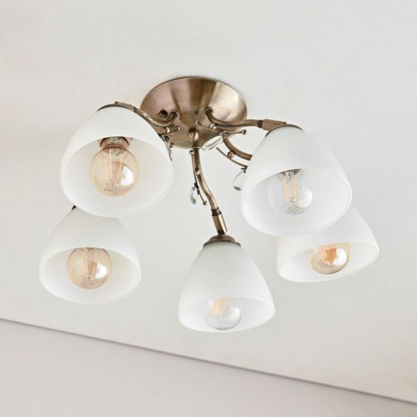 baytonia_main product photo