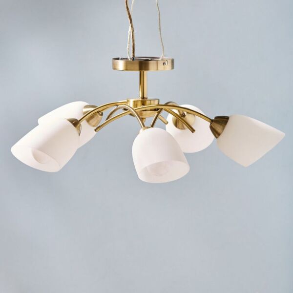 baytonia_main product photo