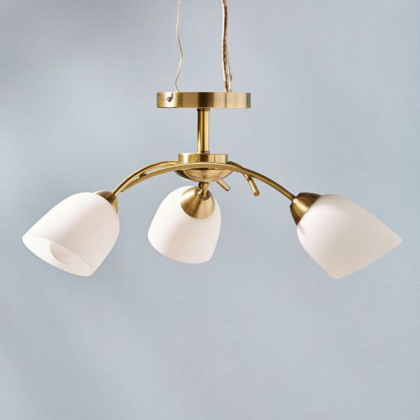 baytonia_main product photo