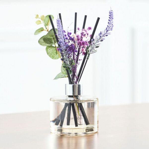 baytonia_main product photo