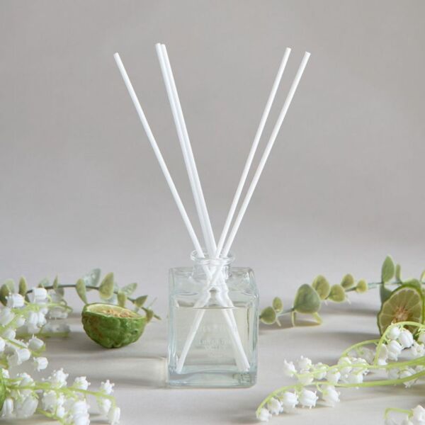 baytonia_main product photo